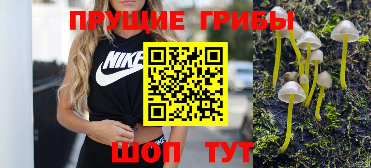 Галлюциногенные грибы Cubensis  Вход с VPN  наркотики  Каменка 